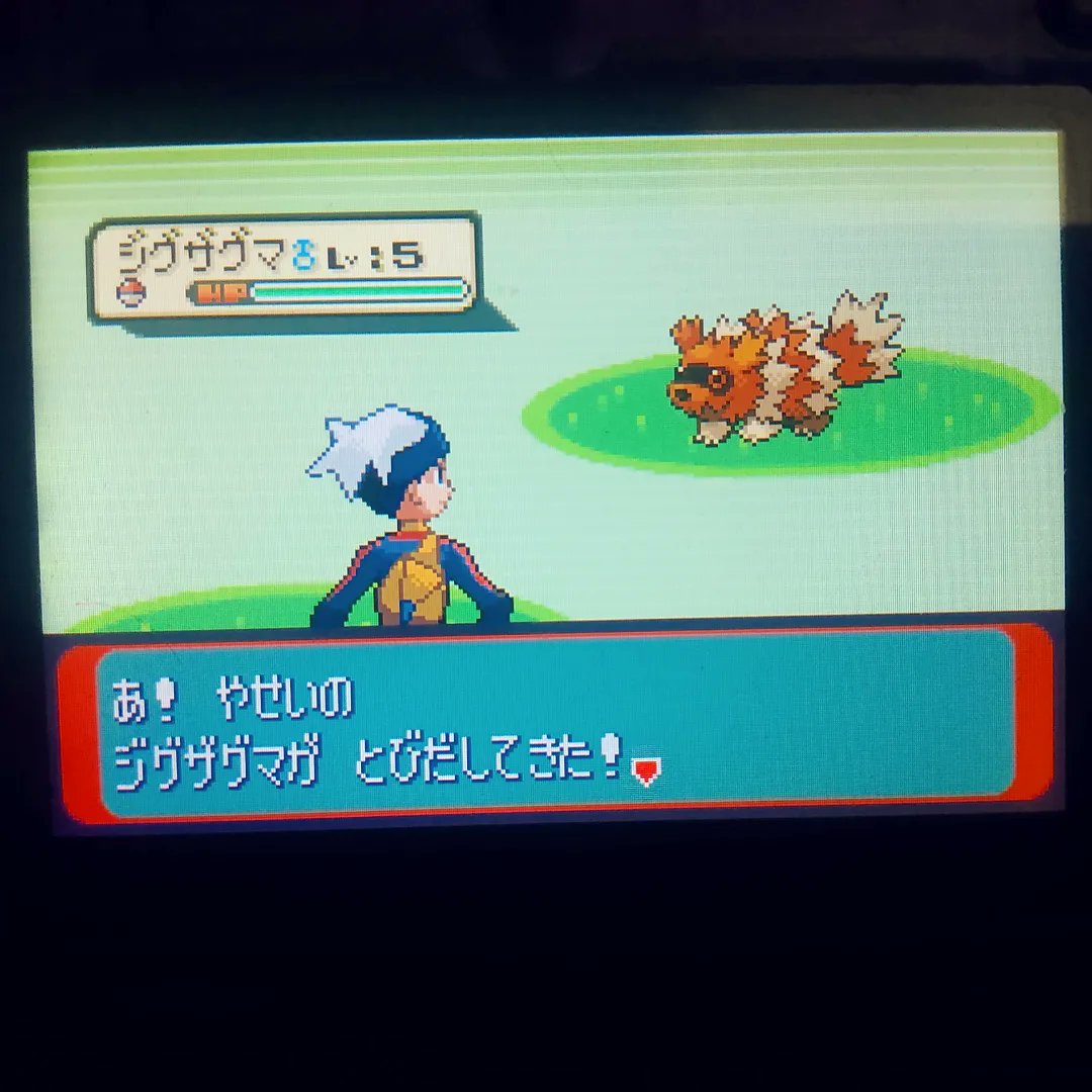 ShiningDanny1's tweet image. FFFFFFFFFF, Shiny Zigzagoon after 26,088 RE's✨ Phase 14 for Shroomish and my 15th of the line... at least the phase is over. Now officially over double odds phase-wise 😵 
#shinyzigzagoon #zigzagoon #phase14 #shinypokemon #pokemon #rse #fullodds
