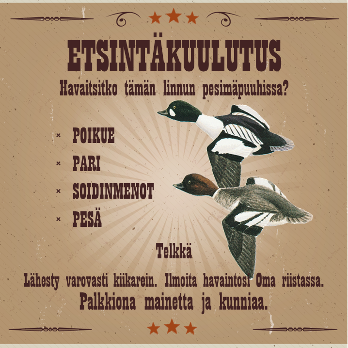Oletko nähnyt riistalintujamme pesimäpuuhissa? Ilmoita havaintosi! 🦆

Auta selvittämään Suomen linnuston pesimälevinneisyyttä:

⭐️Päivitä Oma riista -sovellus
⭐️Klikkaa ”Uusi havainto” ja havaitsemasi laji
⭐️Valitse havaintotyyppi, kuten pari tai poikue. Tallenna

#Lintuatlas