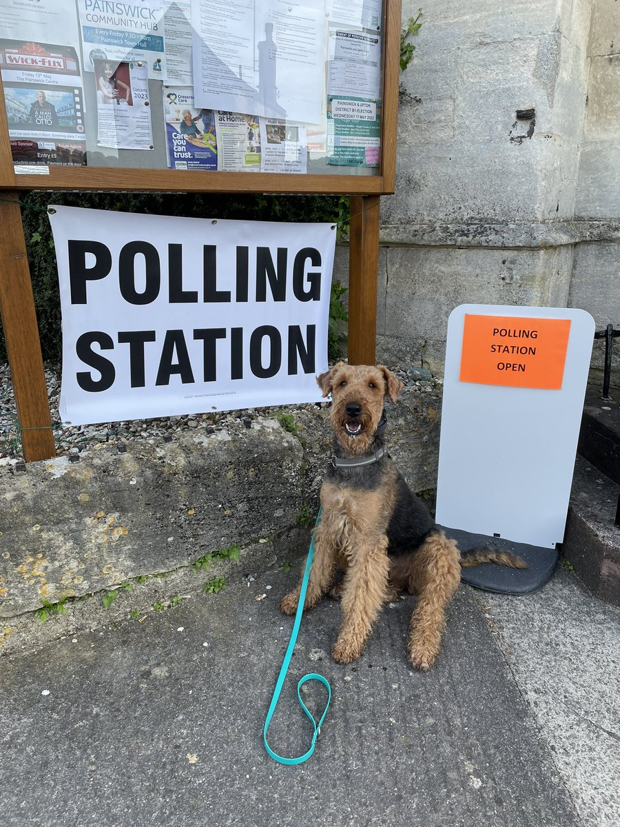 Bugger, I forgot my photo ID! #dogsatpollingstations