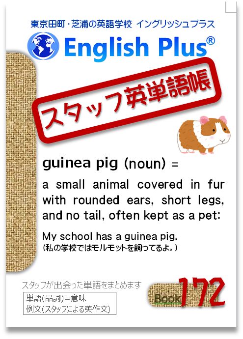 EnglishPlusTYO's tweet photo. 【スタッフ単語帳-172】
英単語をまとめていきます
●単語(品詞)=意味：例文
●guinea pig (noun) = a small animal covered in fur with rounded ears, short legs, and no tail, often kept as a pet:
My school has a guinea pig. 
(私の学校では #モルモット を飼ってるよ。)
#田町英語 #芝浦 https://t.co/nVgh4fIHJa