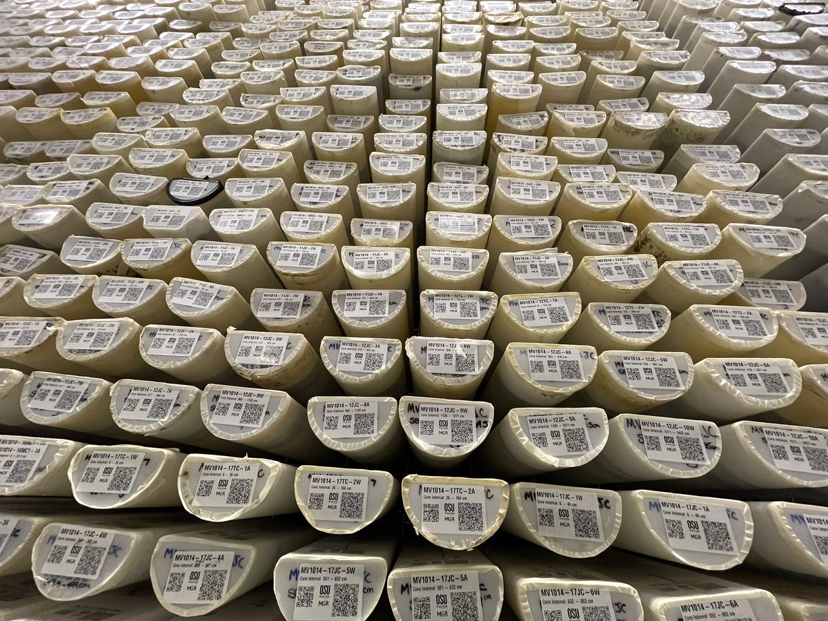 Sveta Radionovskaya tweet media