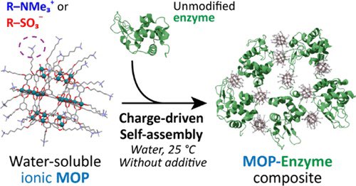 Water-Soluble Ionic Metal–Organic Polyhedra as a Versatile Platform for Enzyme Bio-immobilization

<a href="/J_A_C_S/">J. Am. Chem. Soc.</a> <a href="/isciverse/">Top Science</a> #Chemistry #ChemTwitter #chemed #scicomm #news #Technology #Tech #NewsBreak #Trending #research #science #AcademicTwitter

pubs.acs.org/doi/10.1021/ja…