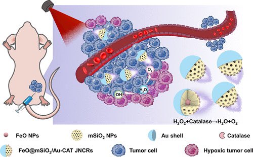 Self-Propelled Janus Nanocatalytic Robots Guided by Magnetic Resonance Imaging for Enhanced Tumor Penetration and Therapy

<a href="/J_A_C_S/">J. Am. Chem. Soc.</a> <a href="/isciverse/">Top Science</a> #Chemistry #ChemTwitter #chemed #scicomm #news #Technology #Tech #NewsBreak #research #science #AcademicTwitter

pubs.acs.org/doi/10.1021/ja…
