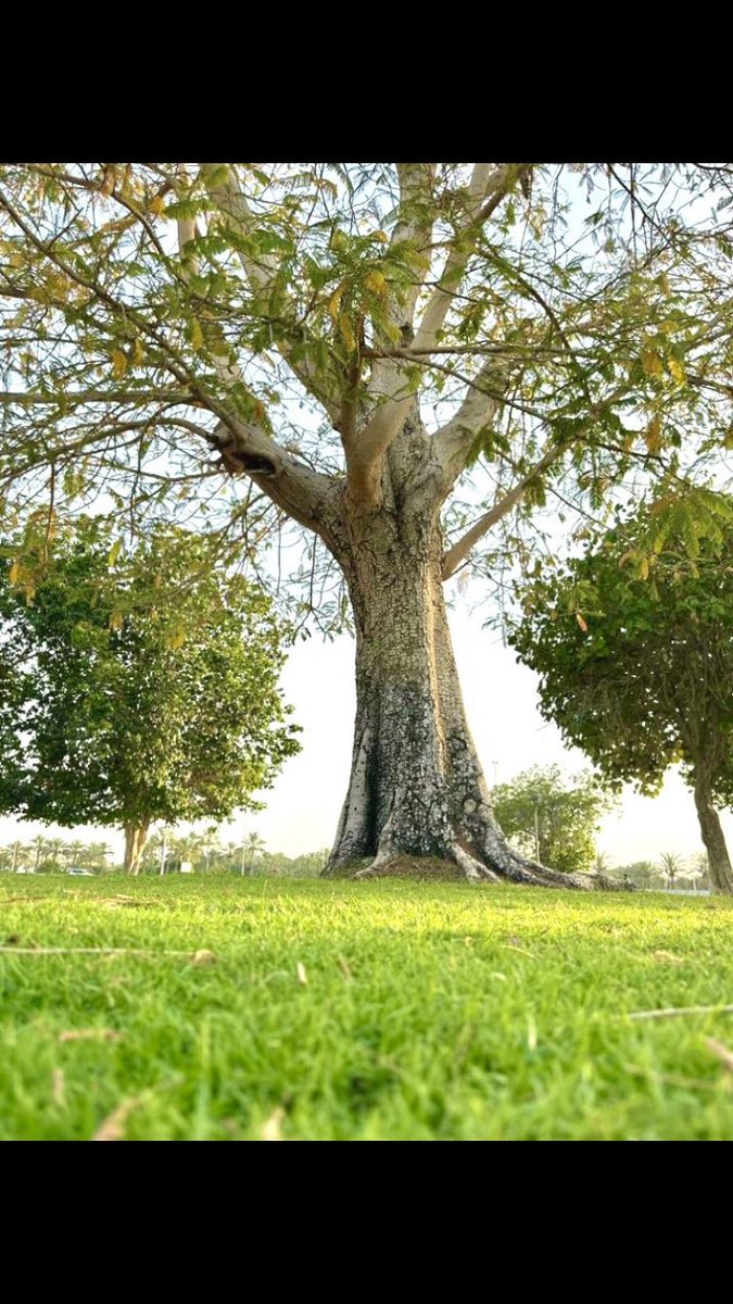 m77ag's tweet photo. ♯♡~̨̛.! 

آﻟلهـمَ أرزﻗنـا ﻣـن اﻟعـافيـہ أگملهـآا..
ﻭﻣـن اﻟـدنيـا ﺧيـرهــاا..
وَﻣـن الآﺧـرھ ﻧعيمهـا ..

.   «صبـاح 🌞الخير» https://t.co/fuOwKgQebX