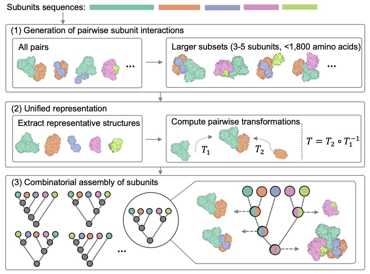DdelAlamo's tweet image. Predicting structures of large protein assemblies using combinatorial assembly algorithm and AlphaFold2

This approach &quot;exhaustively enumerates possible assembly trees, maximizing the probability of correctly assembling the complex&quot;

biorxiv.org/content/10.110…