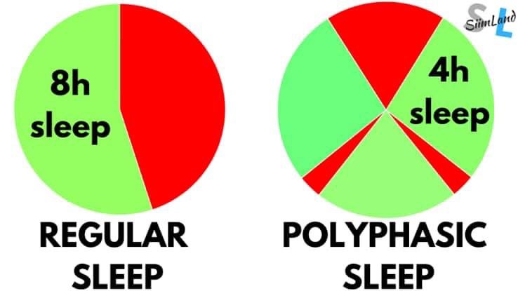 culbhouse's tweet photo. 睡眠シリーズ①
#多相睡眠 #PolyphasicSleep
#分割睡眠 #SegmentedSleep
#分割睡眠 #DividedSleep
日本人の睡眠時間が世界で一番短いことで、貧困な思考が蔓延しています。昔の人は色々な方法で睡眠を満たしていました。動物は環境に合わせて睡眠の方法やサイクルを臨機応変に対処しています。 https://t.co/LvHMhcEagu