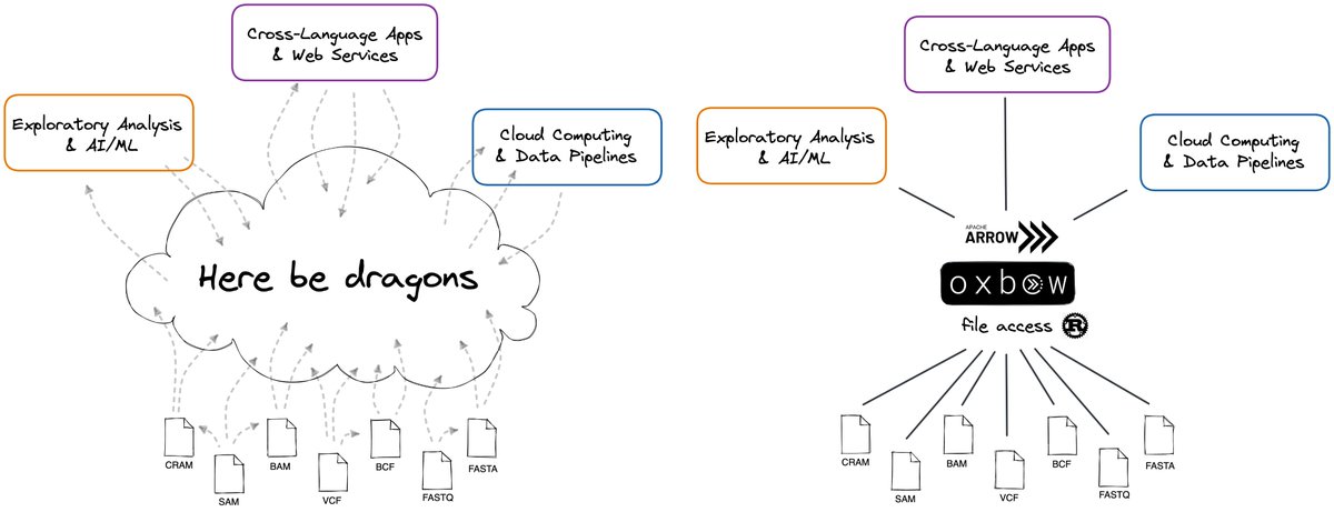 Nezar Abdennur (@nv1ctus) on Twitter photo Introducing #oxbow: a data unification layer to unlock bioinformatic file formats for high-performance analytics in #RStats, #Python, and beyond, using #rustlang & <a href="/ApacheArrow/">ApacheArrow</a>.
Learn more about this new project in my group with <a href="/trevmanz/">trevor manz</a> on our new blog
lifeinbytes.substack.com/p/breaking-out… Introducing #oxbow: a data unification layer to unlock bioinformatic file formats for high-performance analytics in #RStats, #Python, and beyond, using #rustlang & <a href="/ApacheArrow/">ApacheArrow</a>.
Learn more about this new project in my group with <a href="/trevmanz/">trevor manz</a> on our new blog
lifeinbytes.substack.com/p/breaking-out…
