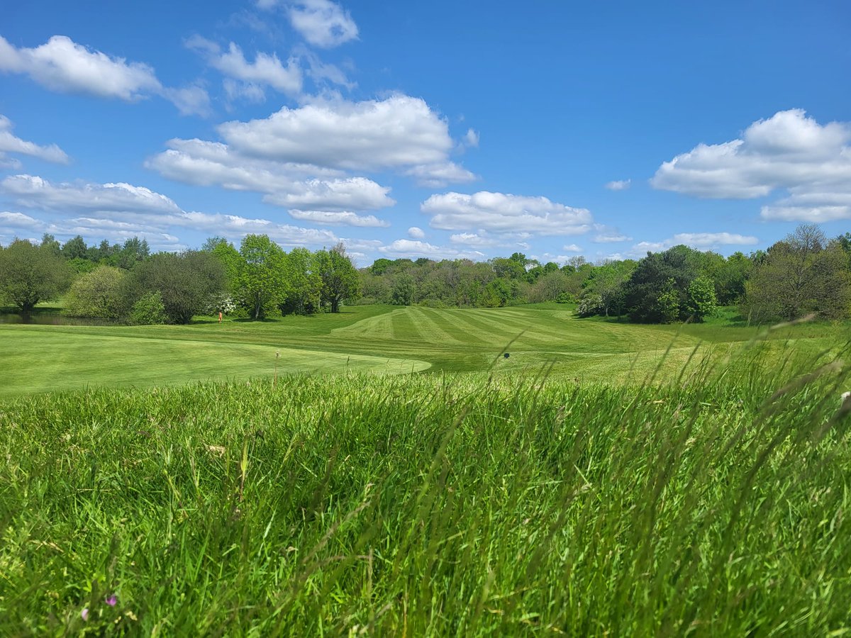 Got through last week's rain and starting to take shape