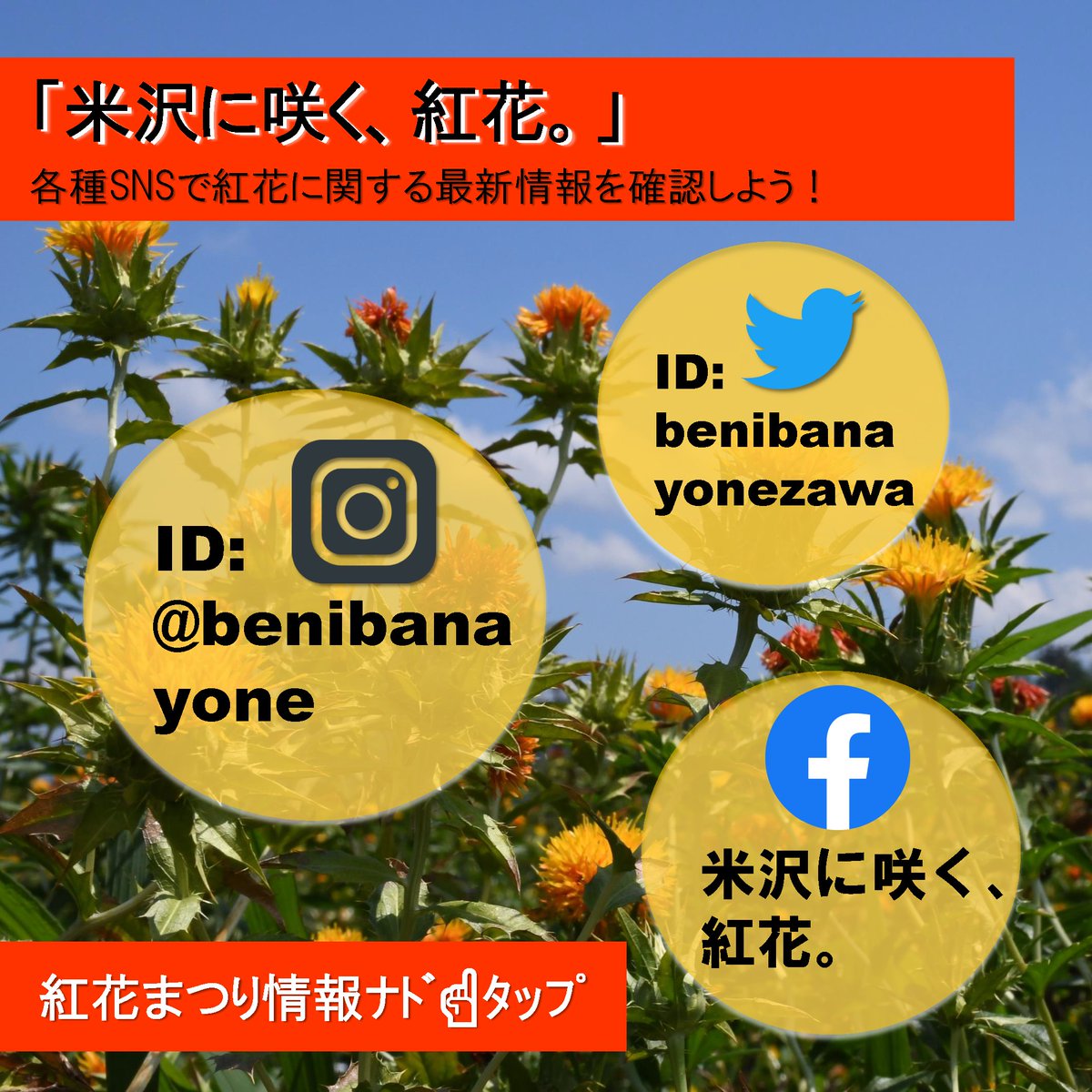 twi_yonezawa's tweet photo. 「米沢に咲く、紅花。」の各種SNSで紅花に関する最新情報を確認しよう！夏の紅花まつり情報など隔日配信中！
インスタグラム　ID: benibanayonezawa
https://t.co/gUBq1oTNLe
ツイッター
ID: @benibanayone 
フェイスブック
https://t.co/aFOUYB2m0f

#山形県  #yonezawa #米沢市 #紅花 #touhoku https://t.co/epd8OI6U11
