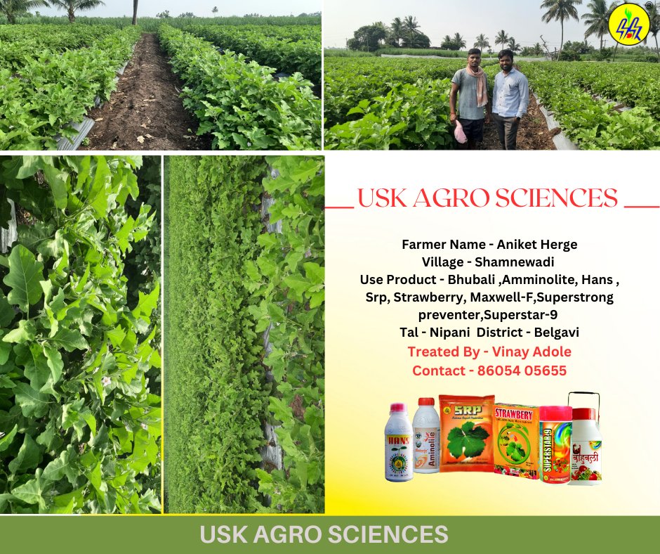 USK Agro Sciences
.
For more details contact us on 9168691570
uskagrosciences.com
Product -  Bhubali ,Amminolite, Hans ,Srp,Strawberry, Maxwell-F,Superstrong preventer,Superstar-9 
.
.
#brinjal #brinjalplot
 #fertilizer #shetkari #sheti #maharashtra #agriculture #indianfarmer