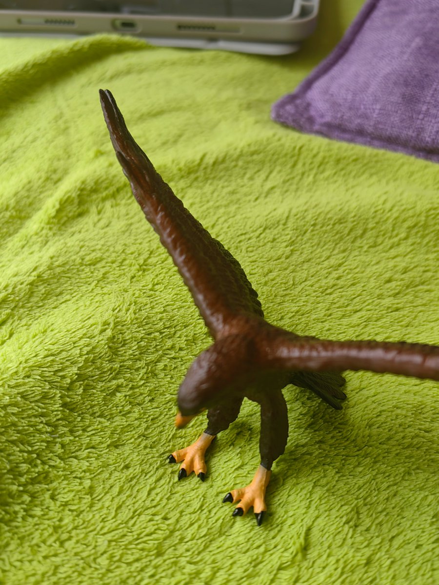 Thalassotitan's tweet image. Today I received the #Mojofun Golden eagle which is a pretty new release in 2022. The figure itself is on a landing or preying pose with wings spread wide open. The neck feathers was not painted golden, to which real life Golden eagles has.