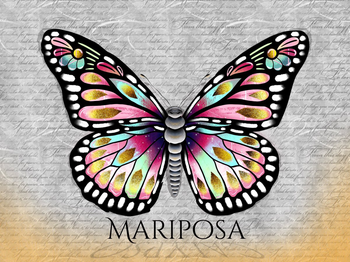 Calypso 🦋 tweet media