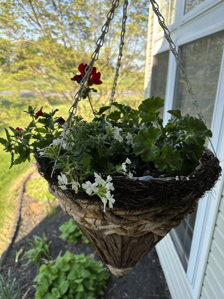 ActuallyLET's tweet image. Been busy with the Gardens du Nerd lately. Dirt therapy is always a good thing.