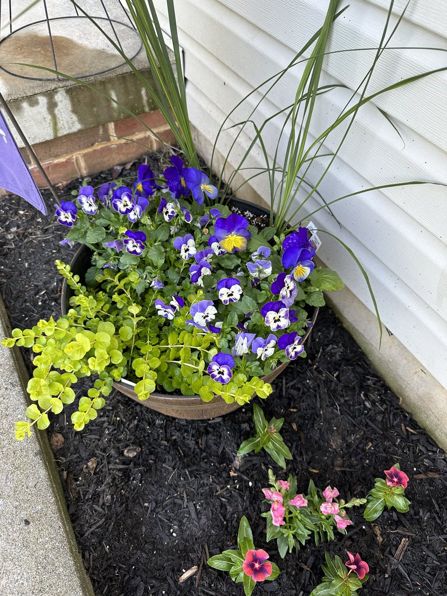 ActuallyLET's tweet image. Been busy with the Gardens du Nerd lately. Dirt therapy is always a good thing.