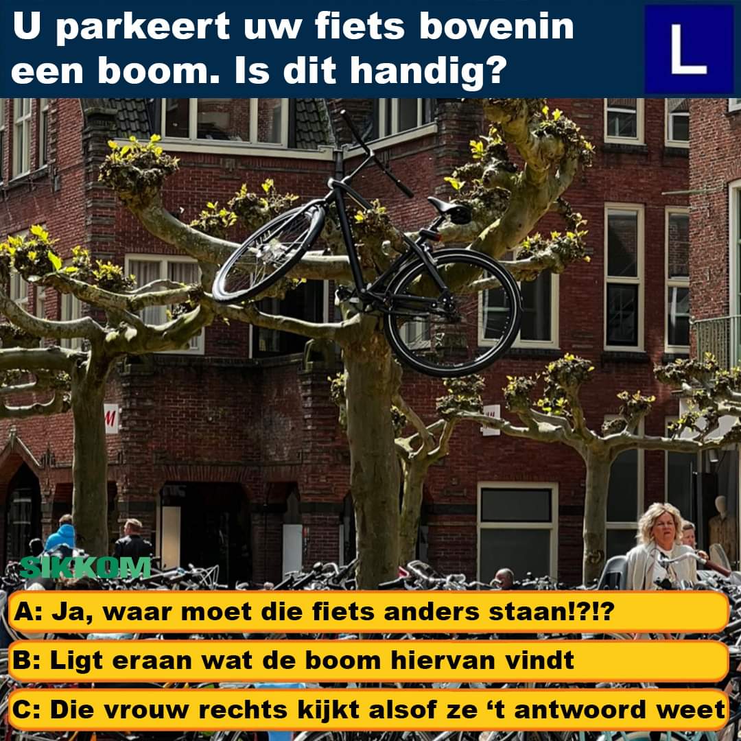 anne meiboom (@meiboomanne) on Twitter photo 