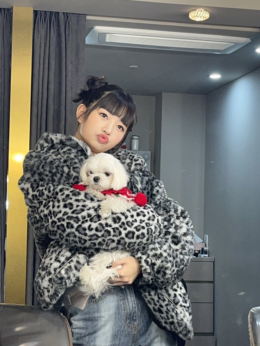 magiclifve's tweet photo. Me traje un perrito al ⁦#𝐟irst·ཐིཋྀ·𝕤t𖦹𝕣y⁩ pero el fue el culpable de que llegara tarde al ⁦#𝟏𝟞ʼoh͜͡𝕙一𝕒h𝕙⁩, así que los dos venimos a disfrutar lo que queda y si quieren a barrer. ☁️✨

 ⠀⠀⠀ ⠀⠀ฅ⁠^⁠•⁠ﻌ⁠•⁠^⁠ฅ  — #Shinji. https://t.co/8EwoiCy5Gt