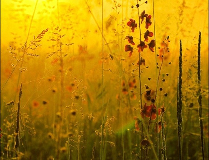 İyi ki karşıma çıkmış, iyi ki tanımışım dediğimiz insanlar kadardır bu dünyanın neşesi. Bundan gayrısına tamah etmeyin. Allah iyi insanlarla karşılaştırsın.