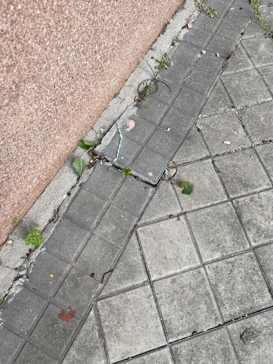 alejo3_92's tweet photo. Es una vergüenza que el ayuntamiento de Madrid no haga nada por mantener el barrio limpio. Se trata de un terreno cedido al ayuntamiento hace muchos años y, después de varios avisos para limpiar la zona y adecentarla, hacen caso omiso. ¿Podéis hacer algo de una vez @MADRID? https://t.co/L8yhH8NII2