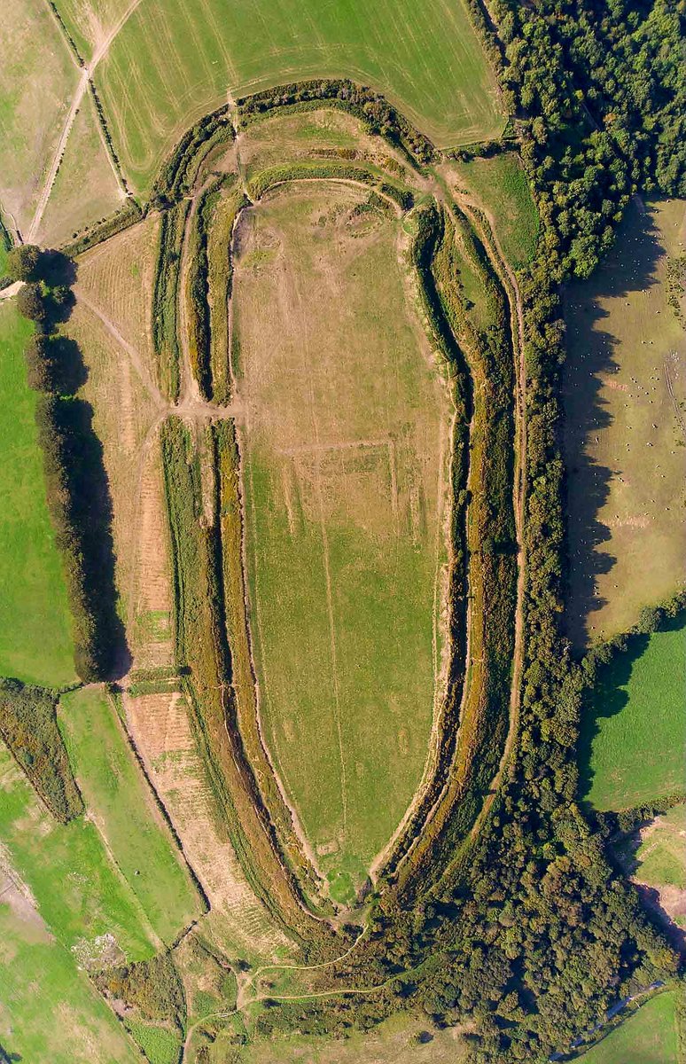 It's #HillfortsWednesday !

Here's the glorious 3ha multivallate Iron Age enclosure of Pilsdon Pen #Dorset looking NW 🤩

Entrances at the N, SE and SW and a medieval rabbit warren at the centre

📷 © David Hymans citizen science project #Airchaeology

airchaeology.org/2018/08/31/pil…