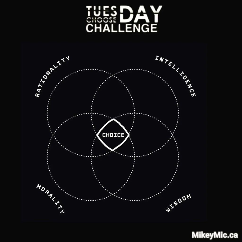 Michael A. M. Masci tweet media