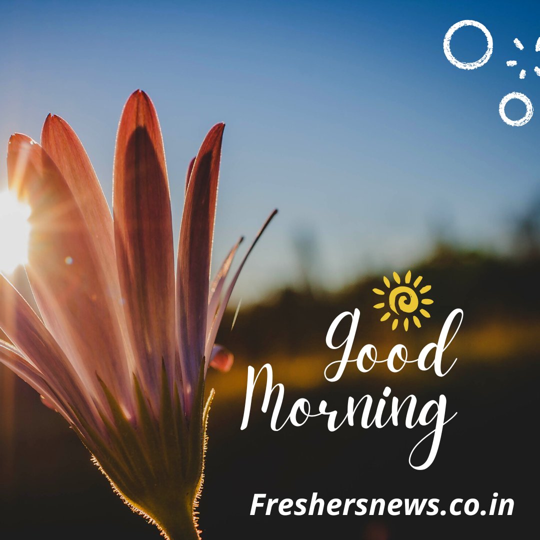 GOOD MORNING 
#freshersnews #goodmorning #goodmorningeveryone #morningtime #haveagreatdayahead #gooddays