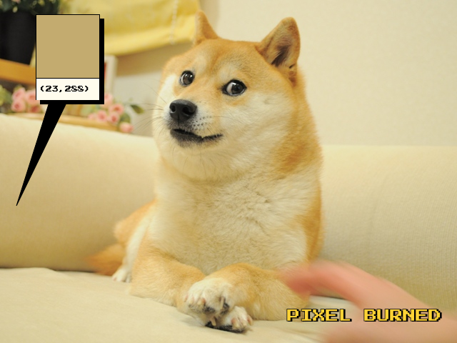 DogePixelBot's tweet photo. Pixel (23, 288) burned by 0x75379bc3c8166842De43e04529577223592a0782
https://t.co/ERjtbyXgzh https://t.co/Kf2A895CBe