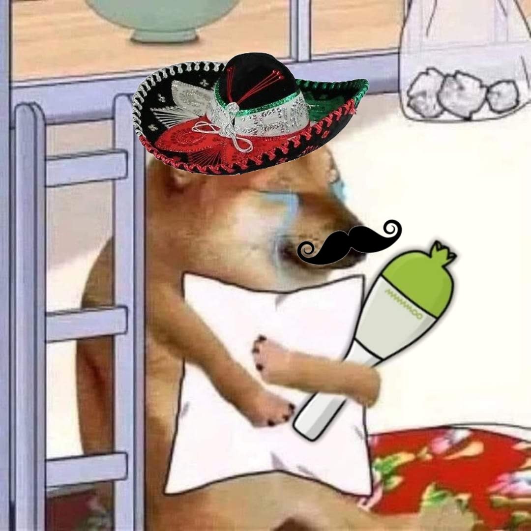 shalungaa's tweet photo. @RBW_MAMAMOO #MYCON_MEXICO PLEASE COME TO MEXICO WE LOVE U SO MUCH 😭😭😭 https://t.co/9QpeaMLsuT