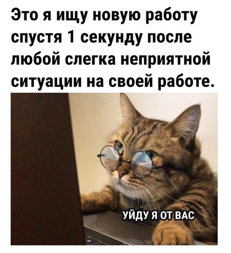 MEMES👸🏼 tweet media