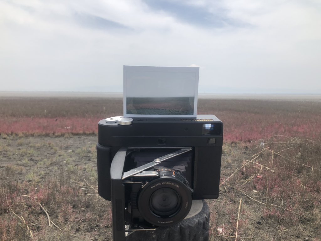 zuruo2's tweet image. 干潟

#rf70 #instakonrf70 #mintcamera