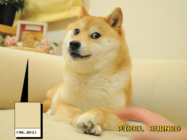 DogePixelBot's tweet photo. Pixel (96, 201) burned by 0x75379bc3c8166842De43e04529577223592a0782
https://t.co/z6Wizg4CYw https://t.co/Pt4b0jr0Q0