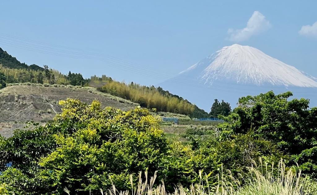 Un de nos groupes en voyage au Japon 🇯🇵
#japan #japon #travel #voyage