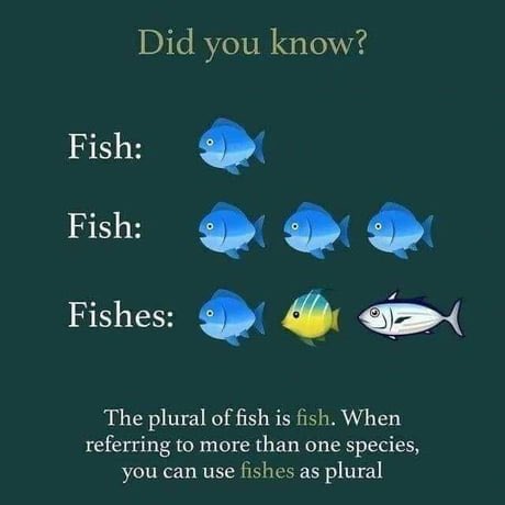<a href="/PicturesFoIder/">non aesthetic things</a> 🐠