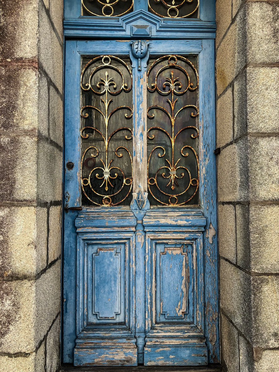 Helen Williams tweet media