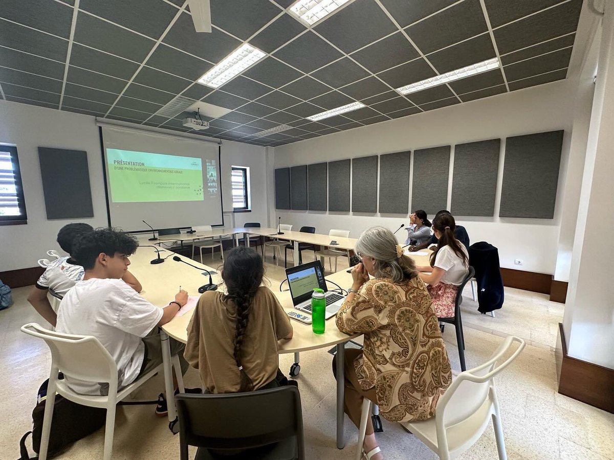 lfiamman tweet media