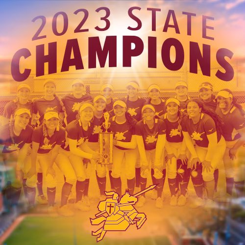 SC Softball tweet media