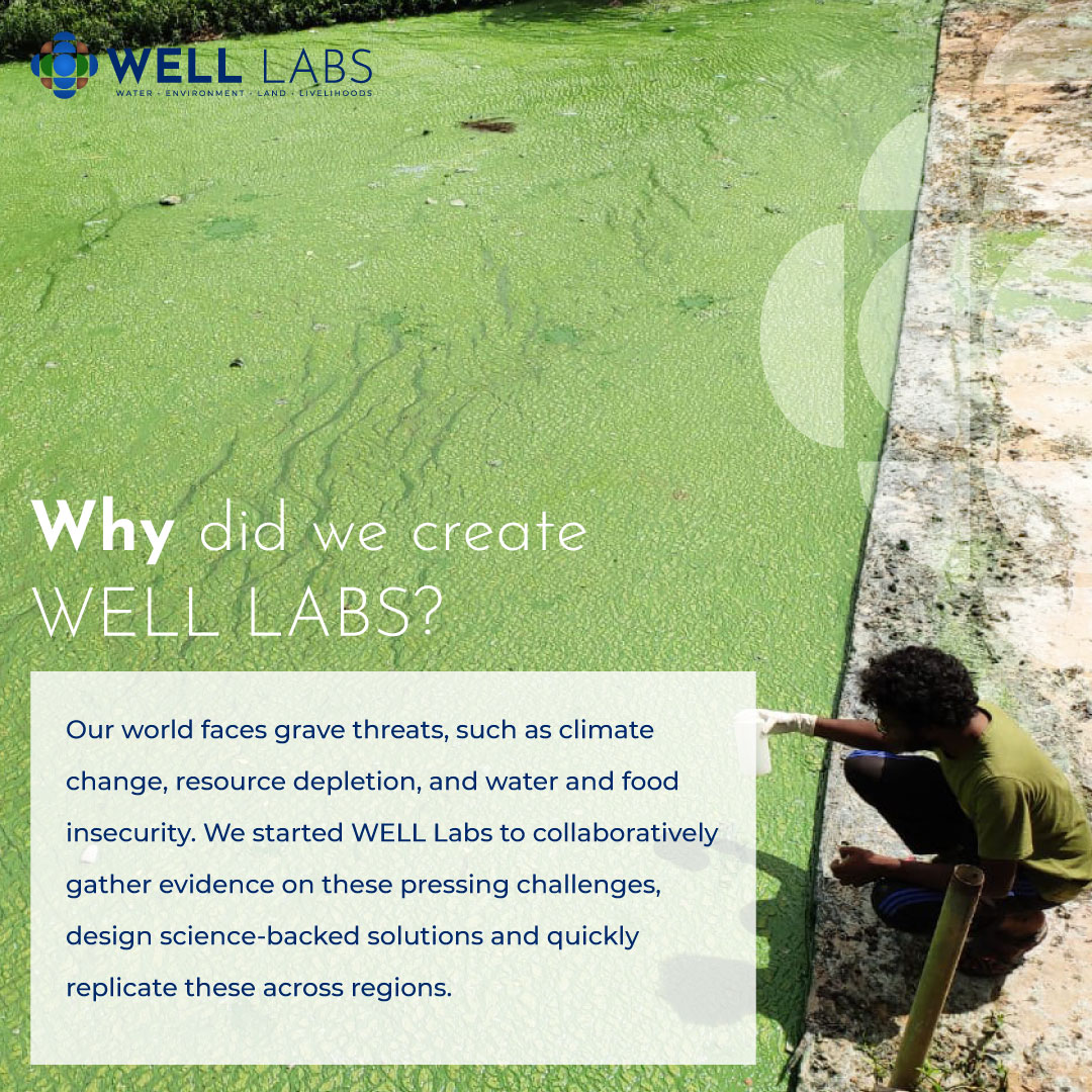 WELLLabs_org's tweet photo. It's no longer an opinion that our world faces grave threats in the form of climate change, resource depletion & more. #WELLLabs collaboratively gathers evidence on these challenges, designs science-backed solutions & quickly replicates.
More details: https://t.co/thNqMPOTRv https://t.co/O9NFVrqaYh