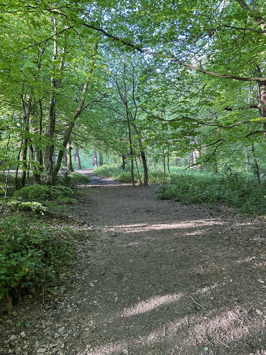 HKnowlesEd's tweet image. #MentalHealthAwarenessWeek walk before work