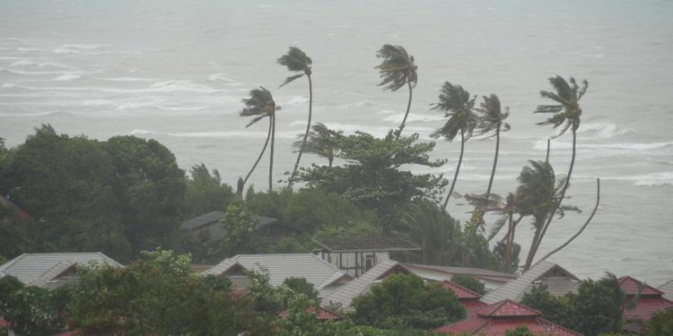 AsianHeraldNews's tweet photo. Cyclone Mocha death toll rises to 81 in Myanmar.

Click and read more:
https://t.co/5nhZhd6XeA

#Cyclone  #Myanmar  #Bangladesh  #MochaCyclone  #mochaupdate  #Rakhine  #sittwe #Mocha_cyclone #cyclonealert  #Trending https://t.co/2qk8WtaTwZ