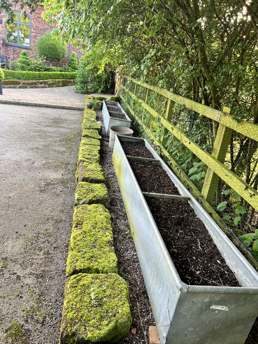 GardenerFliss's tweet image. These are our old cattle troughs from when we were a dairy farm, the cows are long gone but remembered when I plant these with bedding plants.. now what to plant this year ? ⁦@GWmag⁩ ⁦@GdnsIllustrated⁩ ⁦#wednesdayvibes #gardensoftwitter