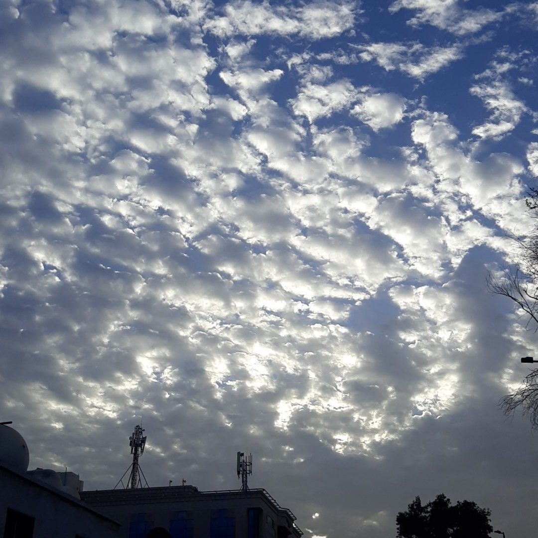 salmany321's tweet image. #NewProfilePic