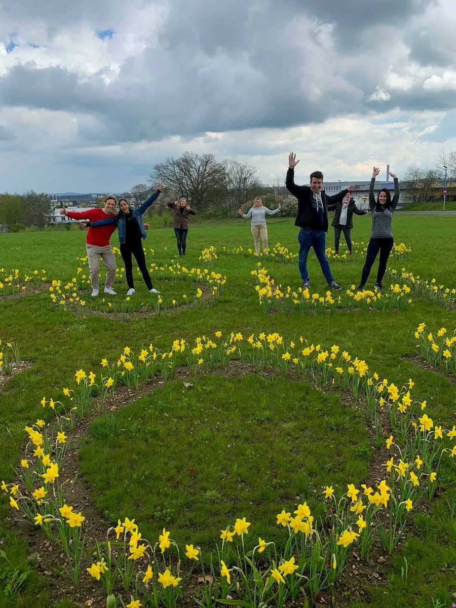1820Rotary's tweet photo. 🌷Rotary Clubs in Hessen haben über 100.000 Blumenzwiebeln gepflanzt, um auf die Ausrottung von Polio aufmerksam zu machen. Durch den Verkauf der Blumen und Spenden konnten bereits über 100.000 Euro gesammelt werden, um 30.000 Kinder weltweit zu impfen. 💙🌍🤝 

#EndPolioNow https://t.co/Qej6DIoP7e