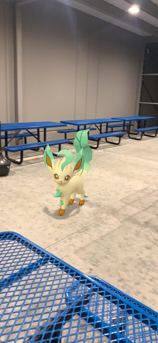 Well @chewy said I could bring my pet to work and she is potty trained #Chewtopianlife pokemongolive.com/refer?code=9PV… #pokemongo