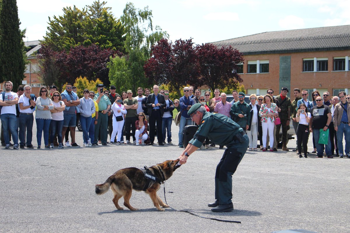 gcivilbizkaia's tweet photo. (2/4) La @guardiacivilbizkaia participará con exhibiciones 🐕🧨, exposición de material 🚔🔫🔎 y actividades para el público, incluidos los más pequeños 👦🏻🧒🏼
La jornada de puertas abiertas será de 11:00 a 15:00.
¡No te lo pierdas, te esperamos!.           #cinologico #gedex https://t.co/edLK85FbEz
