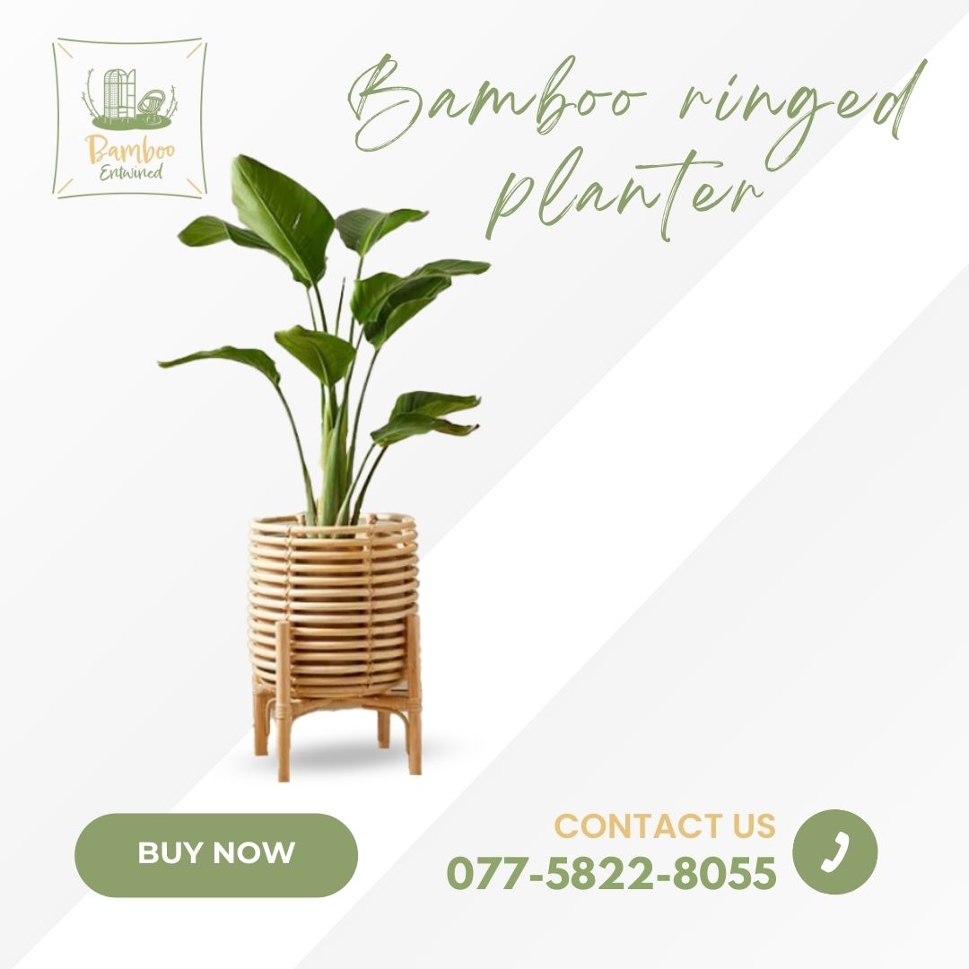 Embrace sustainable style with our stunning #BambooRingedPlanter. Add a touch of nature to your space while promoting #ecofriendly living. 🌿🌱 
#BambooPlanter #SustainableLiving #NatureInspired #RelaxationStation #HomeSweetHome #simplicity #bambooentwined #bambooproducts