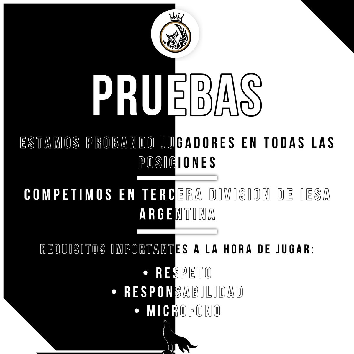 AC Fisura tweet media