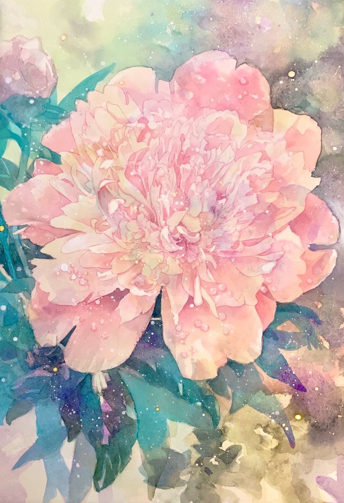 no humans flower pink flower painting (medium) traditional media watercolor (medium) still life  illustration images