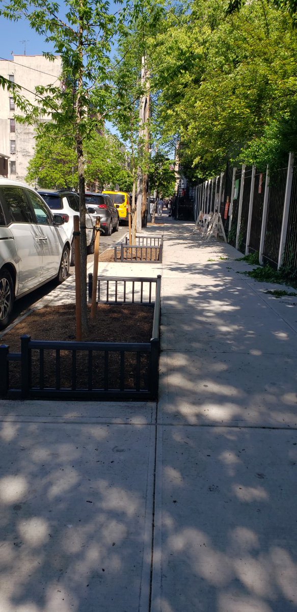 TreesNewYork's tweet photo. We reached an amazing milestone w/the planting of 19 #trees, completing the #TreePlanting component of our #GreeningTheBronx project! We #planted over 2,000 trees – our largest #tree planting initiative to date. Now we will install #TreeGuards and continue caring for the trees! https://t.co/5PbKwtZn7T