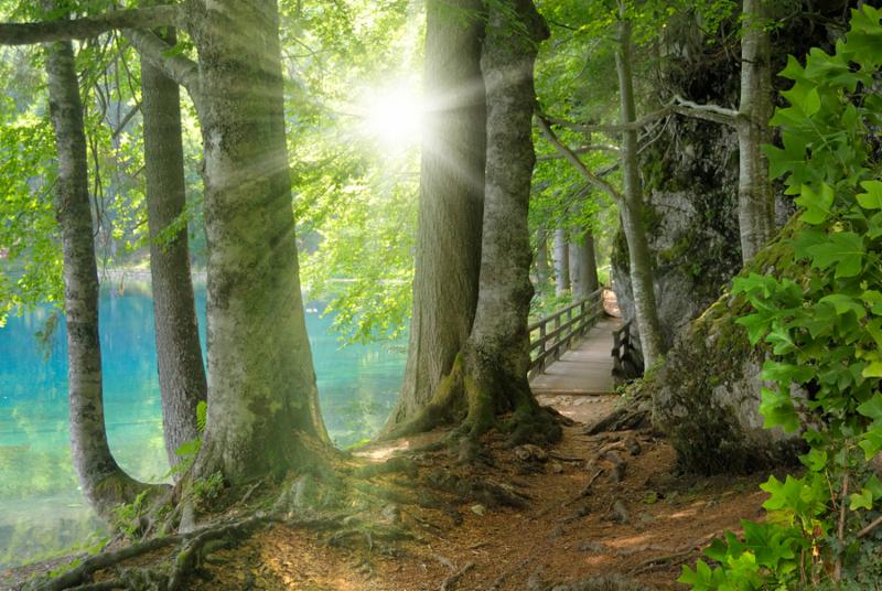 PJsPeace's tweet photo. The Way of Love
#Podcast
https://t.co/ajHeYDB009 https://t.co/6busbJAZKo