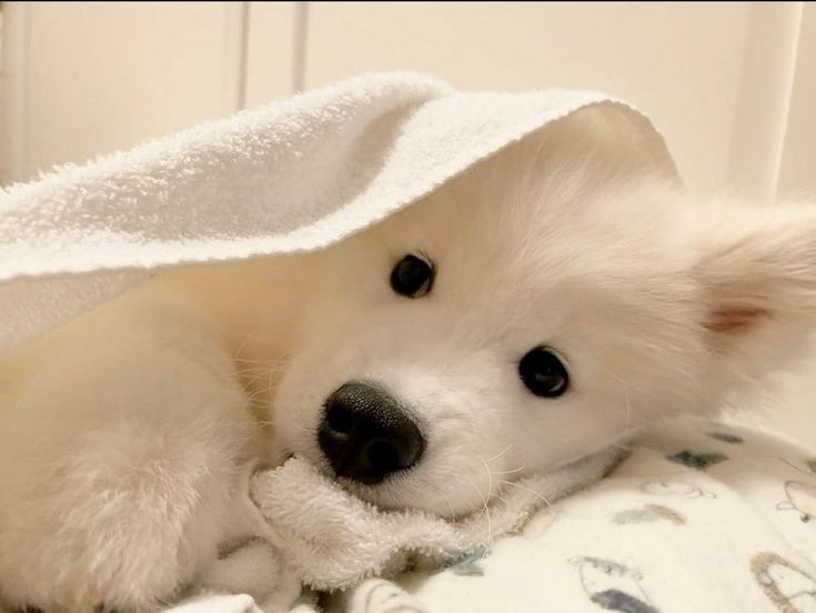 <a href="/GXRM14/">𝐆𝐗𝐑𝐌𝟏𝟒 น้องโรมกะอยากมีหวานใจแบบพี่โรมันเขา</a> ตัวนี้ว่างค้าบพี่ซ๋าวววว