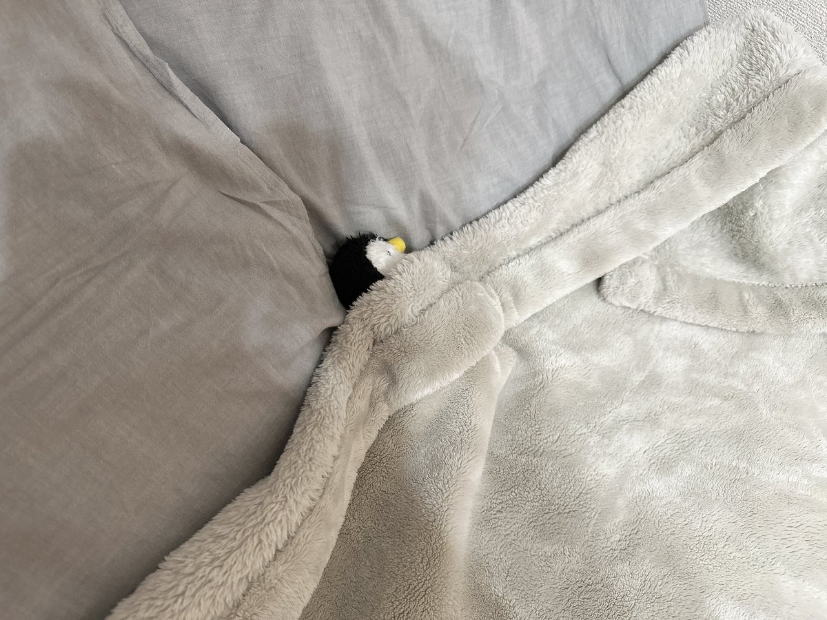 落ち込むぬいぐるみ (@depressed_nui) on Twitter photo 